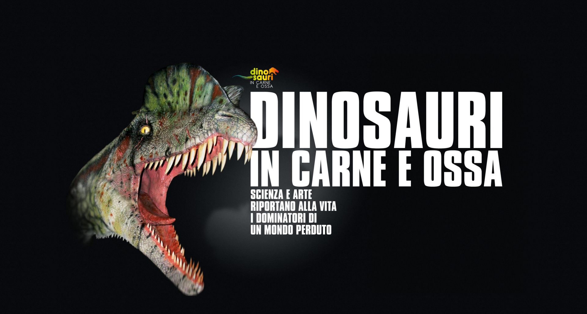 Dinosauri in Carne e Ossa