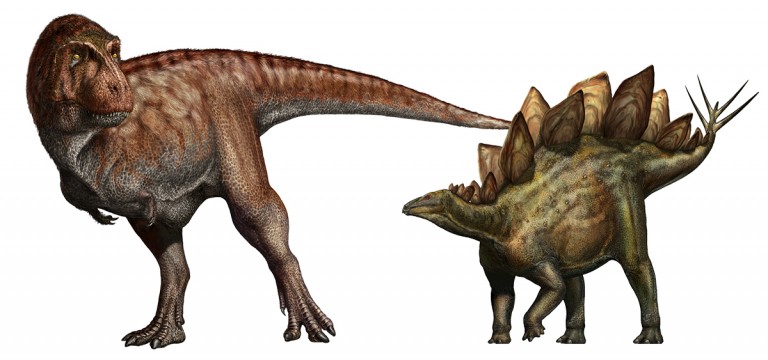 chiedi al paleontologo settembre 2026