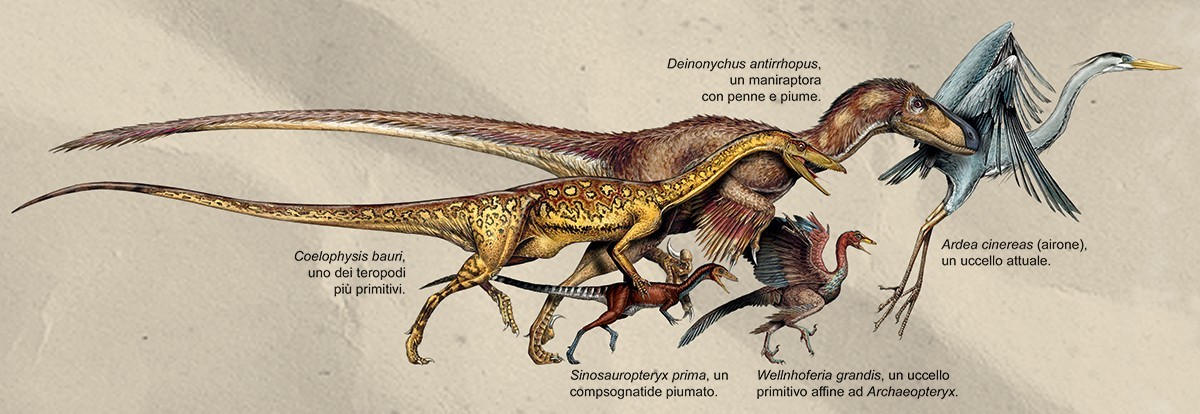 chiedi al paleontologo settembre 2026