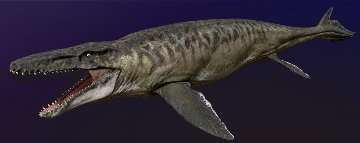 chiedi al paleontologo settembre 2026