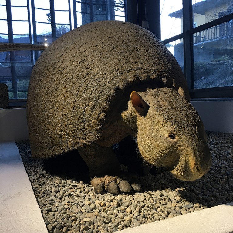 chiedi al paleontologo settembre 2026