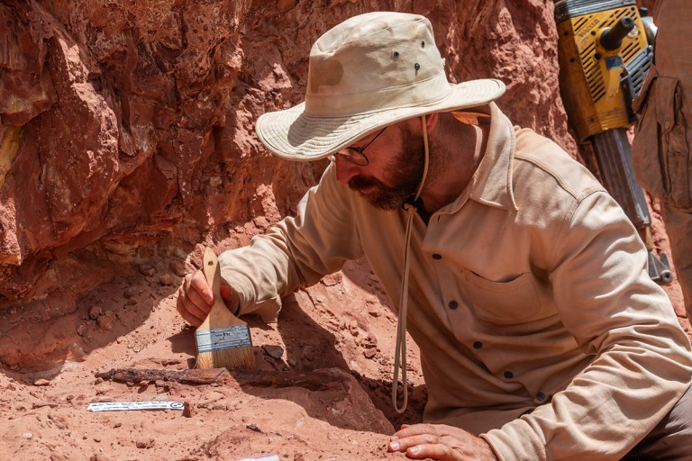 chiedi al paleontologo settembre 2026