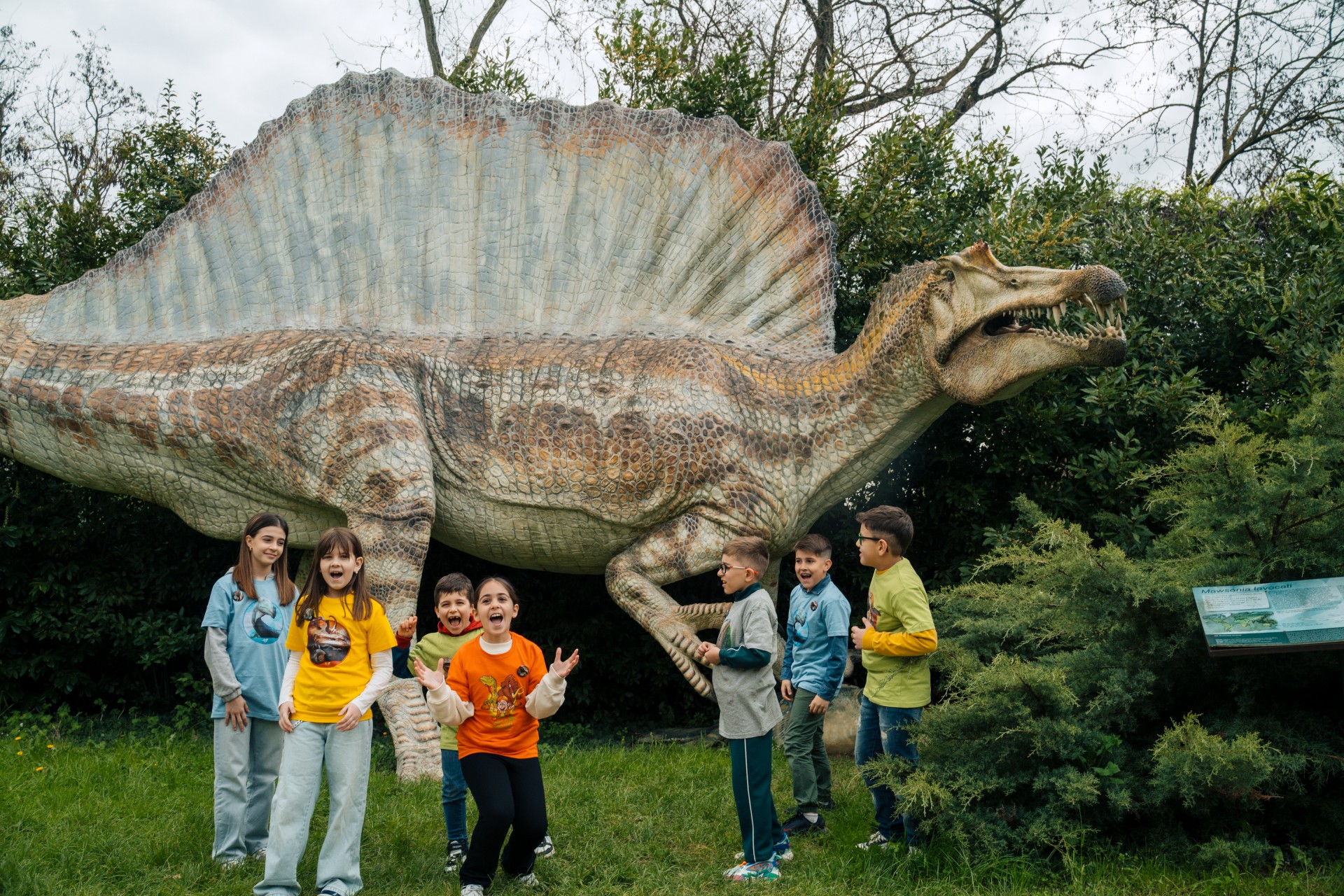didattica evolution san lazzaro di savena