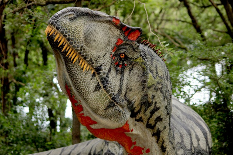 dal vomito alla cacca le tracce meno eleganti dei dinosauri
