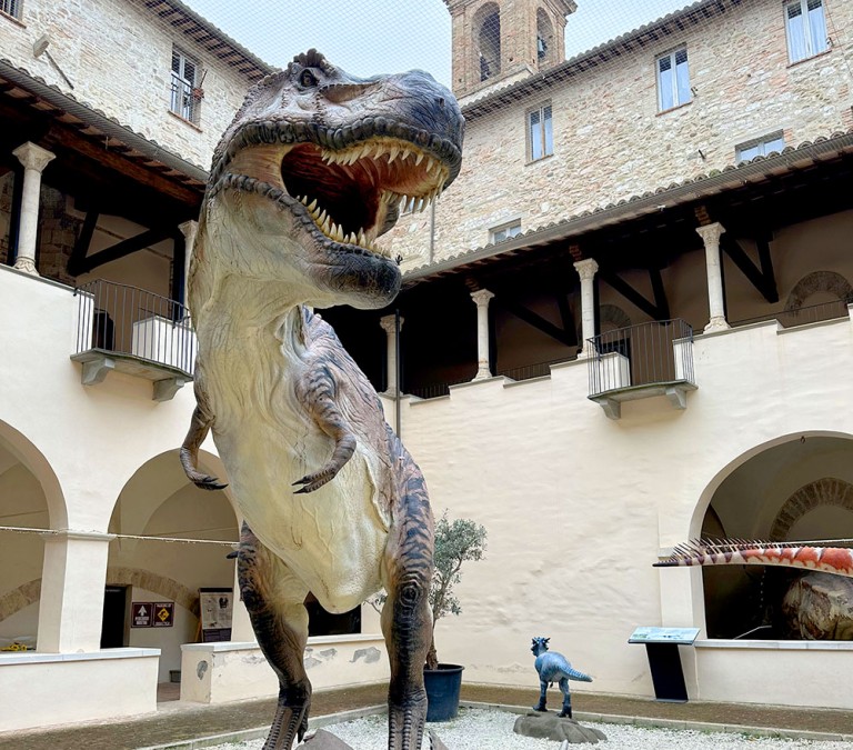 dal vomito alla cacca le tracce meno eleganti dei dinosauri