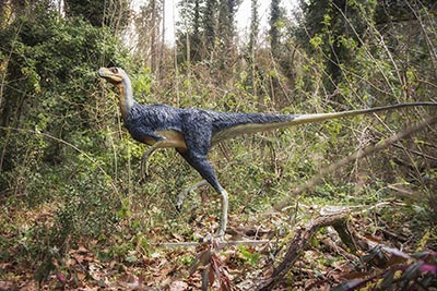 Mostra Dinosauri in Carne e Ossa Roma