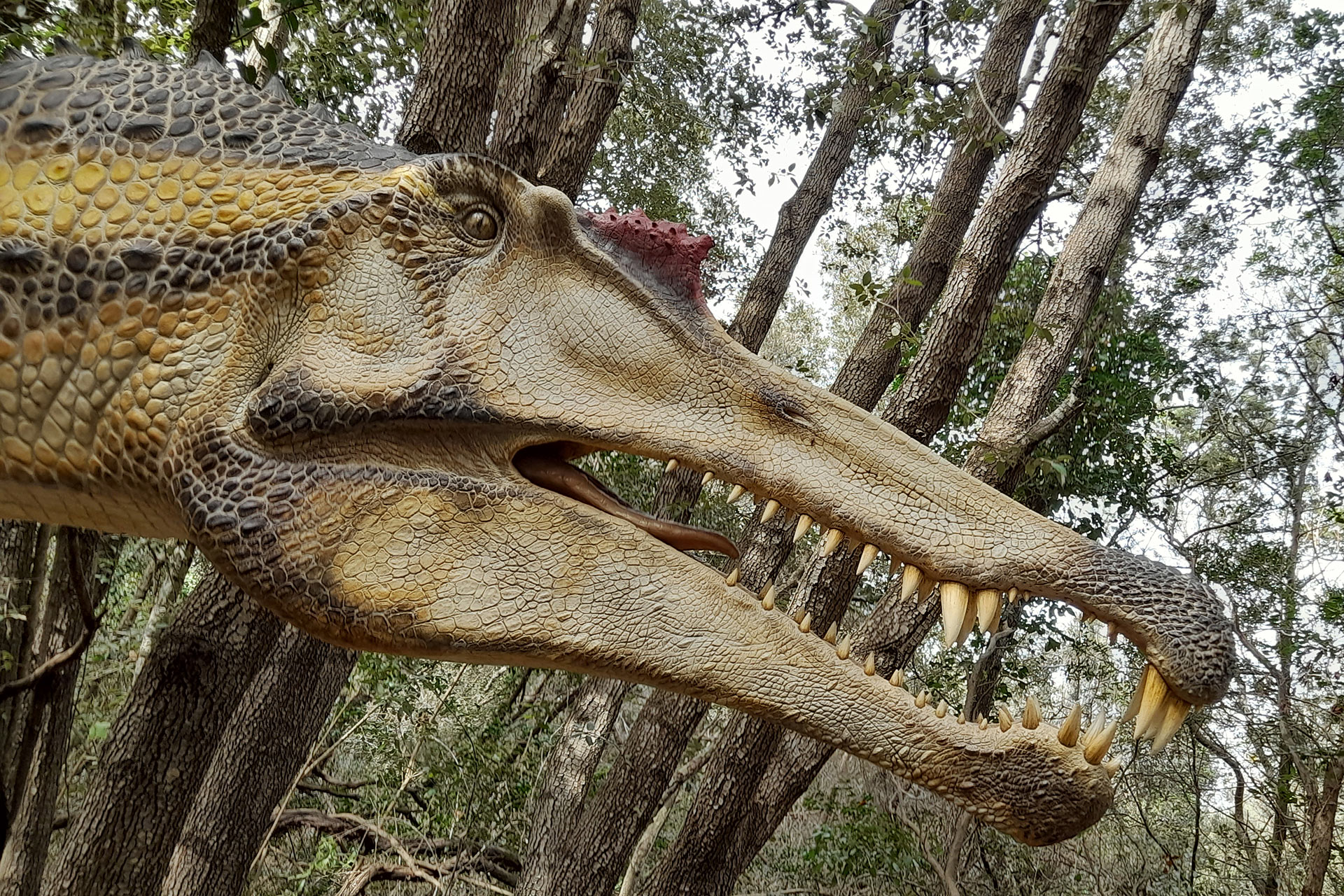 Mostra Dinosauri in Carne e Ossa Roma