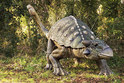 Mostra Dinosauri in Carne e Ossa Roma
