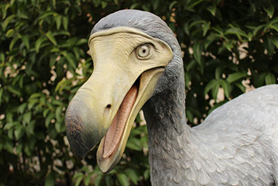 Mostra Dinosauri in Carne e Ossa Roma