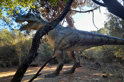 Mostra Dinosauri in Carne e Ossa Roma