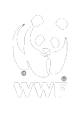 WWF